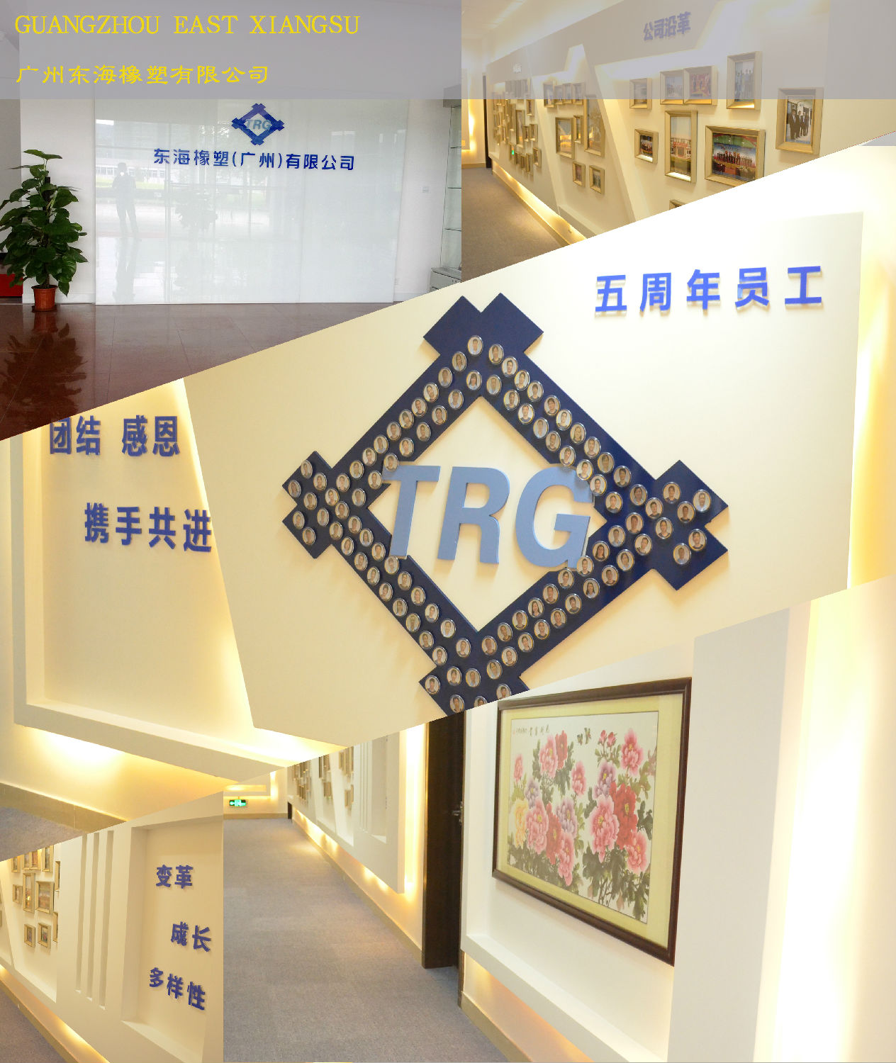东海办公室叼嘿网站视频.jpg 东海办公室叼嘿网站视频.jpg