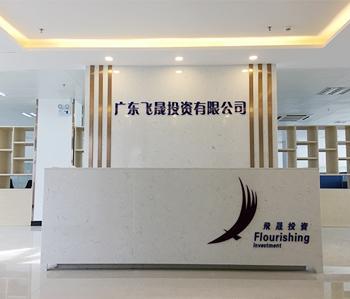 祝贺飞仕商城办公室叼嘿网站视频项目完工